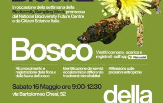 La locandina dell'evento